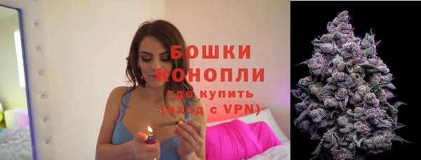 шишки Гусь-Хрустальный