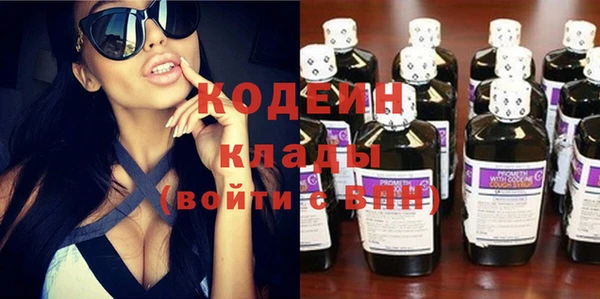шишки Гусь-Хрустальный