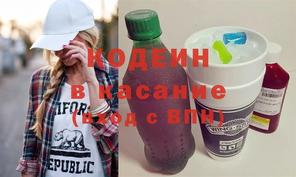 шишки Гусь-Хрустальный