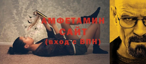 шишки Гусь-Хрустальный