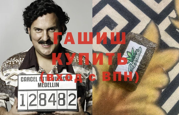 шишки Гусь-Хрустальный