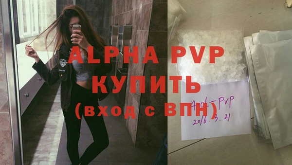 шишки Гусь-Хрустальный