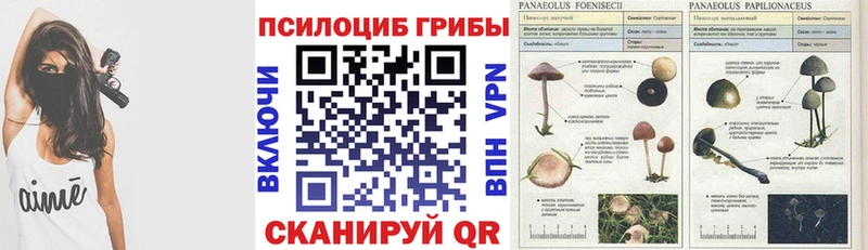 Купить где  Карпинск  Галлюциногенные грибы MAGIC MUSHROOMS 